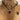 LEDER HALSKETTE SCHWARZ EIBE  MODELL 0310005_011